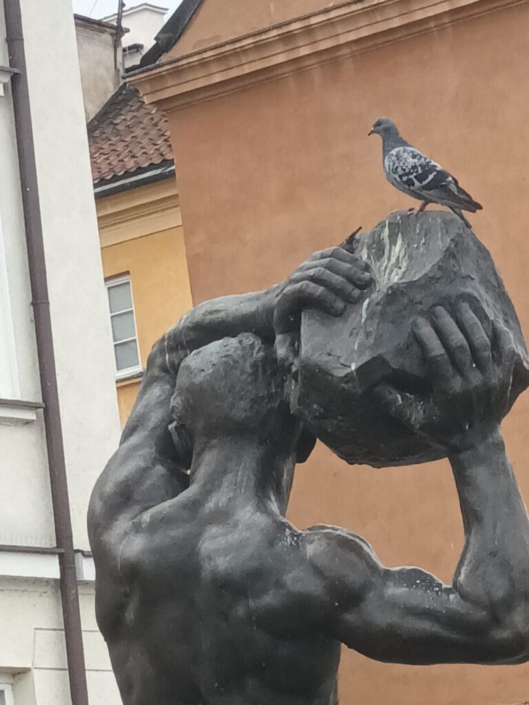 Eine Taube welche ziemlich vivahawseo auf einer polnischen Statue sitzt. Die Statue stellt einen Mann dar welcher einen Stein hebt, und die Taube hat sich auf dem Stein niedergelassen.